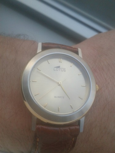 Lotus 8141 bitono - lotus, classic