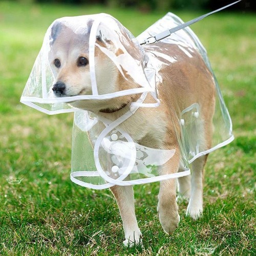 Imperméable pour chien - , à