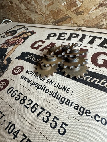 Nos pignon dents - nos, 14