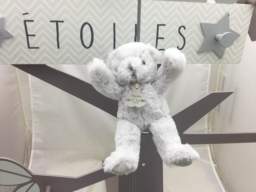 Histoire ours poudré - ours,