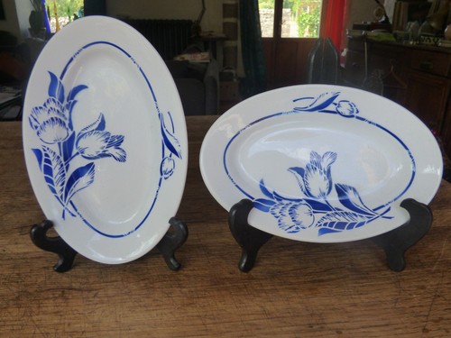 Lot raviers saint - 2,