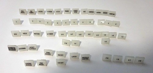 Korg plastic button cap - button,