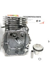 Bloc Moteur 68 mm Briggs And Stratton Intec Pro 65 OHV