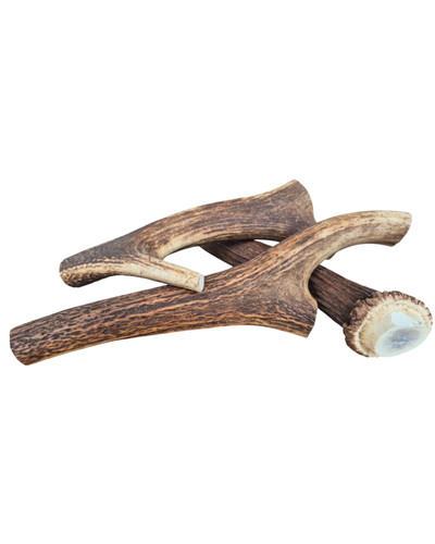 Bois cerfs xxxl entier - de,