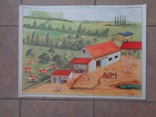 AFFICHE PEDAGOGIQUE ROSSIGNOL   LA FERME D'ELEVAGE - LA LAITERIE