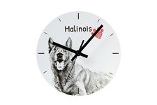 Montre Malinois Berger Belge