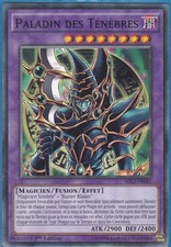 Yu-Gi-Oh! Paladin des Ténèbres MIL1-FR041 1ère Edition EXCELLENT ETAT !! 