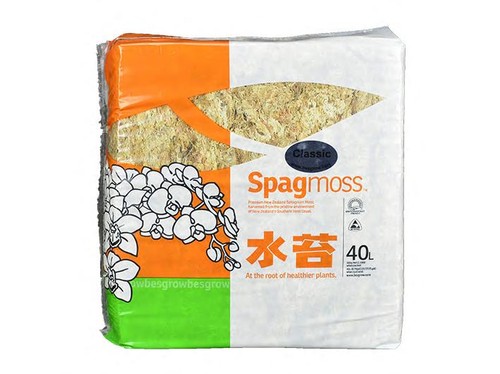 Fibre sphaigne de - fibre,