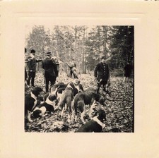 ANCIENNE PHOTOGRAPHIE 1954 SCENE DE CHASSE A COURRE LES CHASSEURS & LEURS CHIENS