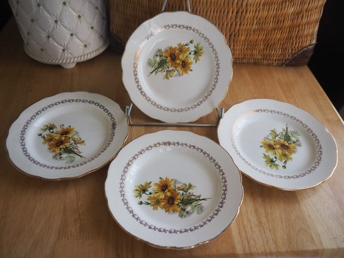 Assiettes dessert gien - assiettes, à