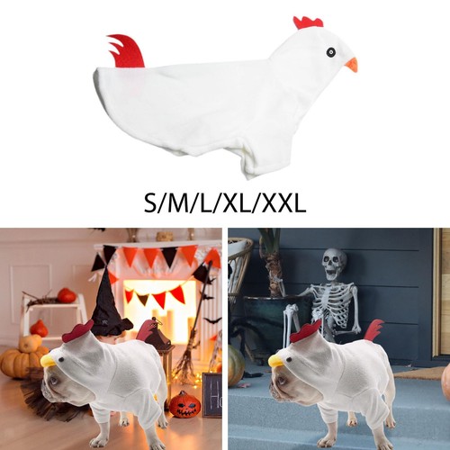 Déguisement poulet pour - de,