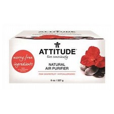 Purificateur D'Air Naturel