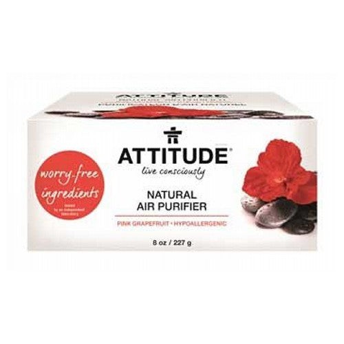 Purificateur air naturel - purificateur,