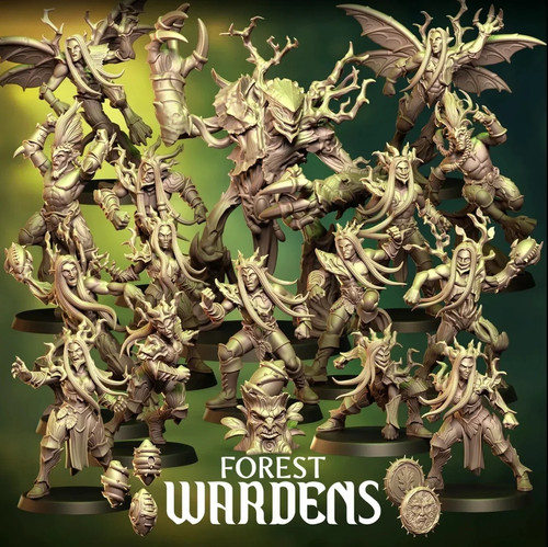 Forest wardens elfe team - wardens,