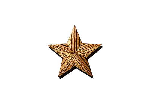 Etoile bois précieux - en,