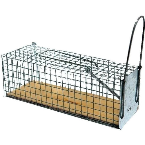 Nasse rats masy entrée - à,