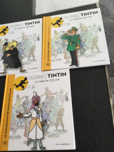 Livre figurines tintin - livre,