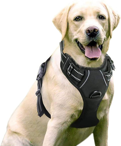 Harnais chien anti - harnais,