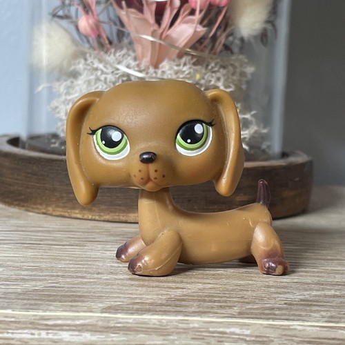 Littlest petshop chien - 🌟🌟littlest,