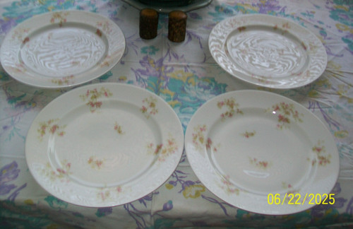 Set theodore haviland - set, 4
