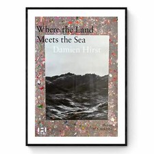 Damien Hirst, « When the Land Meets the Sea » I