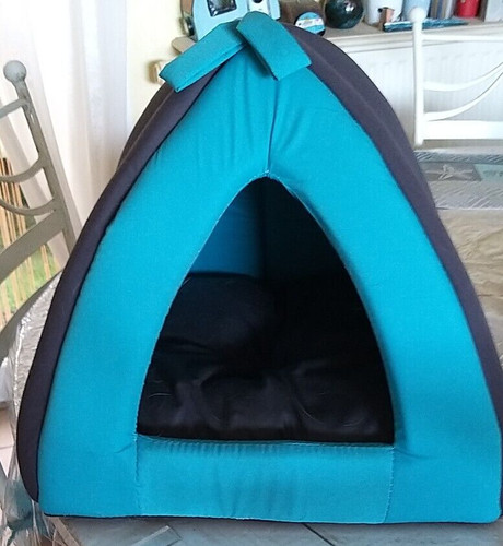 Tipi petit chien chaton - tipi,
