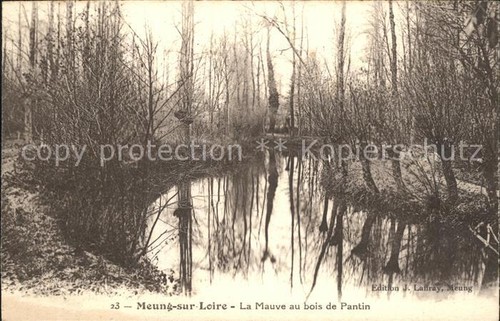 Meung sur loire - meung-sur-loire, mauve