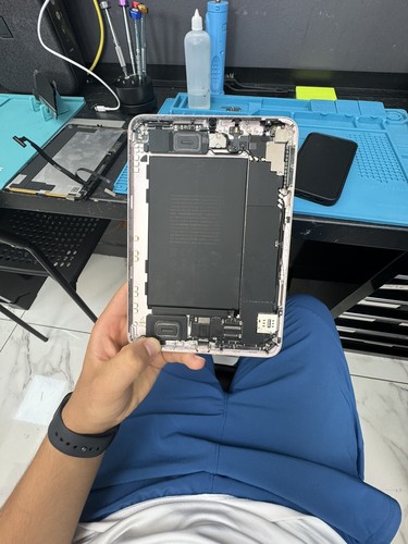 Ipad mini cellular - mini,