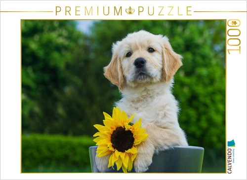 Calvendo puzzle golden - calvendo,