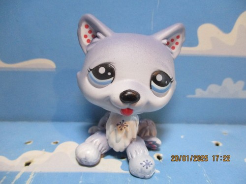 Petshop chien husky 1617 - petshop,