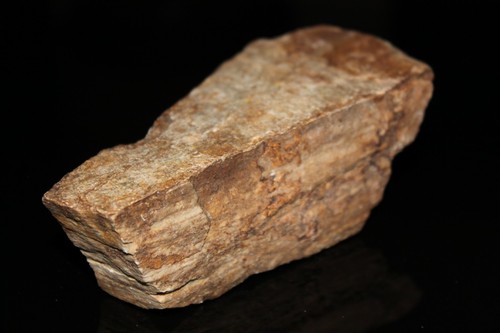 Bois fossilisé - bois, –
