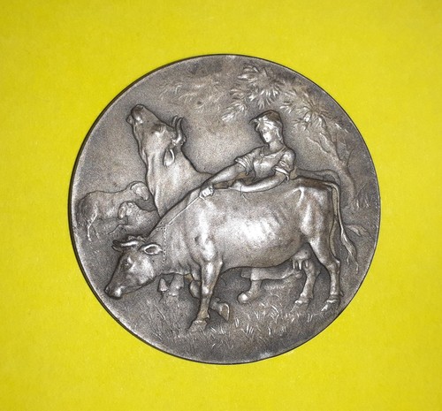 Medaille chambre - medaille, "chambre