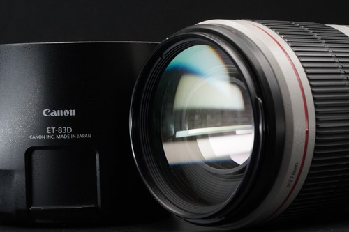 Canon 100 400mm 5 6 - canon, 100-400mm