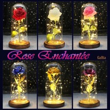 Lampe Romantique Rose