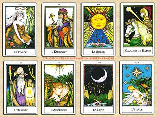 Nouveau tarot palladini - le,