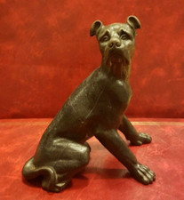 Magnifique chien "boxer" en