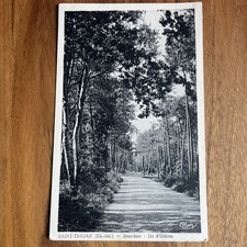 Postcard Cpa - Saint-trojan - Ile D’oleron