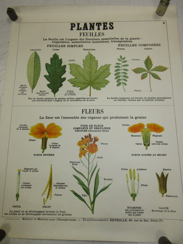 Affiche planche ecole - /,