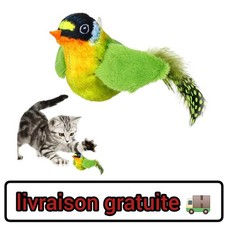 Jouet interactif pour chat