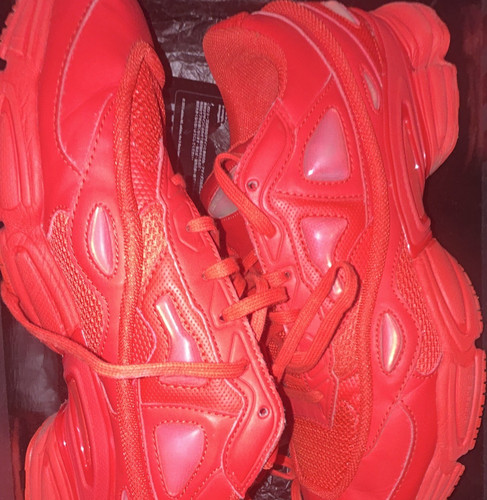 Raf simons adidas ozweego 2 - raf, x