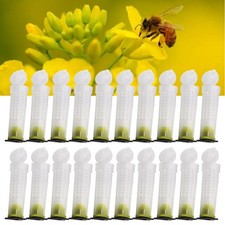 Promouvoir la productivit�� ��levage d'abeilles reine abeille cage �� roulettes