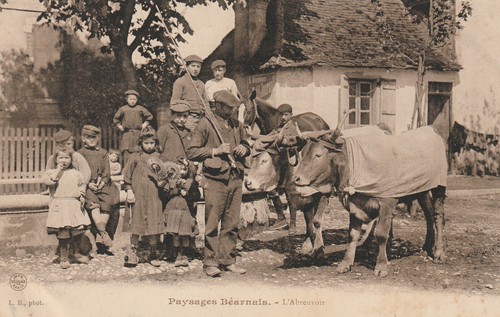 Paysages béarnais - béarnais,