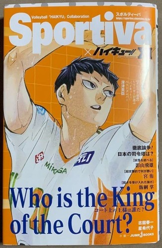 Haikyuu shousetsu ban - !!,