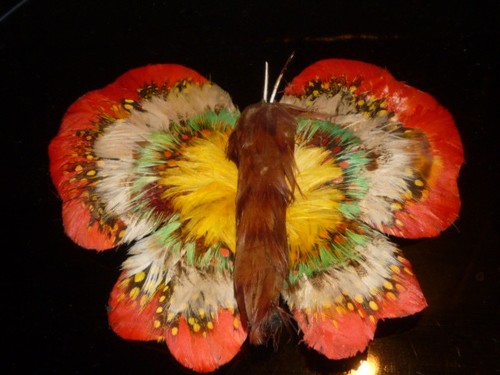 Papillon plume accessoire - papillon, en
