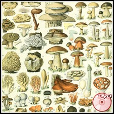 Nouveau Larousse illustre -