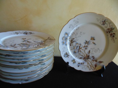Lot assiettes motif - lot, 12