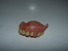 Ancien dentier prothèse dentaire mâchoire supérieur cabinet de curiosité