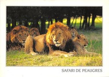 07-PEAUGRES-LE SAFARI
