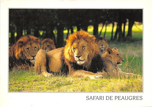 Peaugres safari - 07-peaugres-le,