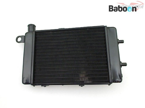 Radiateur rechange aprilia - de,